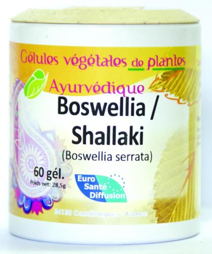 BOSWELLIA-SHALLAKI-400mg 60 GELULES